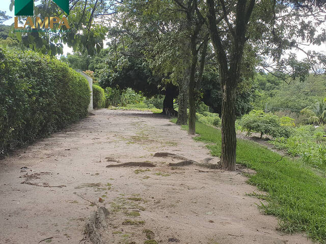 Chácara para Venda em Monte Alto - 4