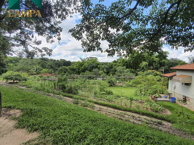 Chácara para Venda em Monte Alto - 5