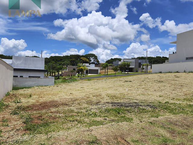 #543 - Terreno em condomínio para Venda em Monte Alto - SP - 2