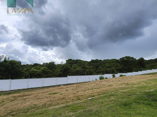 #517 - Terreno em condomínio para Venda em Monte Alto - SP - 3