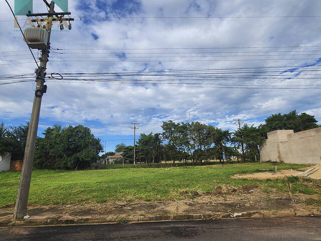 Terreno para Venda em Monte Alto - 4