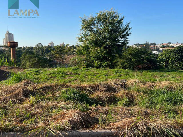 #637 - Terreno para Venda em Monte Alto - SP - 2