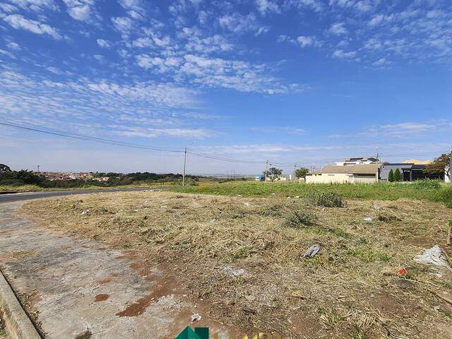 Terreno para Venda em Monte Alto - 5