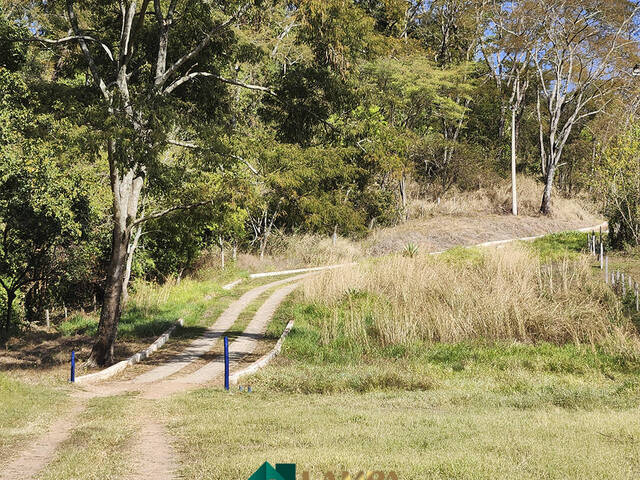 #717 - Chácara para Venda em Monte Alto - SP - 1