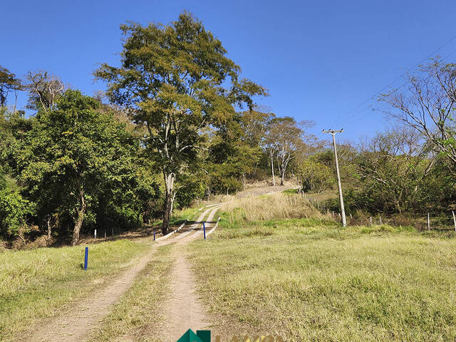 #717 - Chácara para Venda em Monte Alto - SP - 2