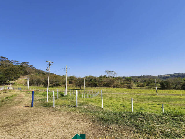 Chácara para Venda em Monte Alto - 4