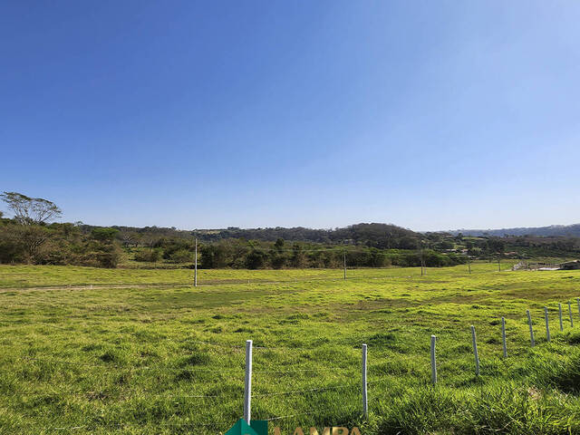 Chácara para Venda em Monte Alto - 5