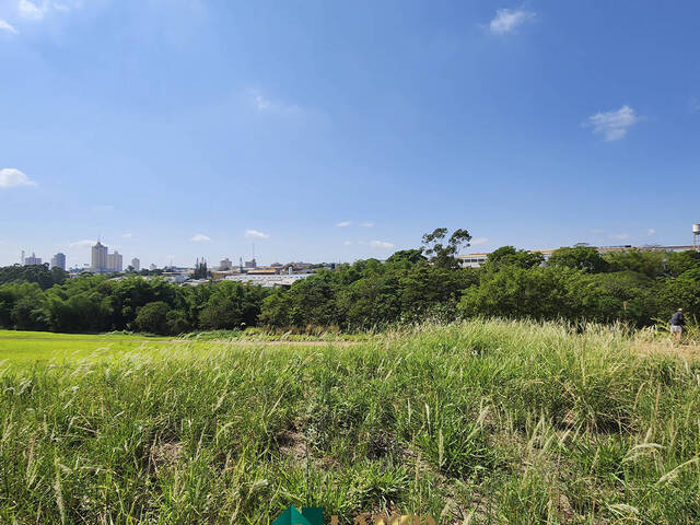 #739 - Terreno para Venda em Monte Alto - SP - 2