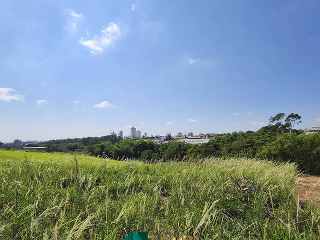 #739 - Terreno para Venda em Monte Alto - SP - 3