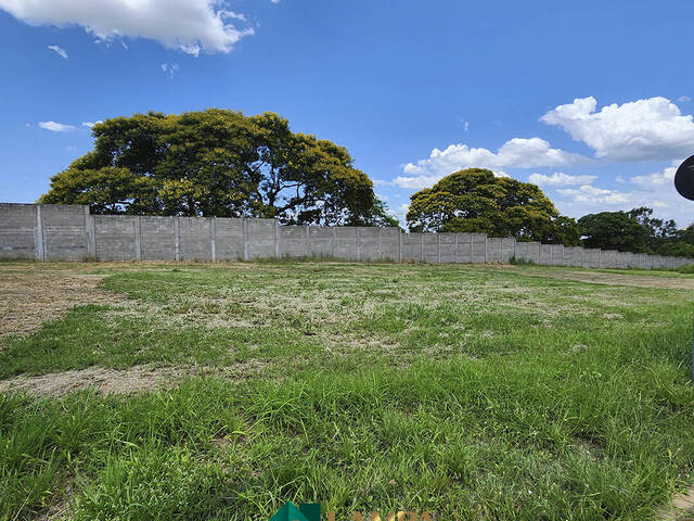 #780 - Terreno em condomínio para Venda em Monte Alto - SP - 2