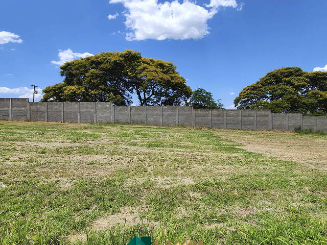 #782 - Terreno em condomínio para Venda em Monte Alto - SP - 3