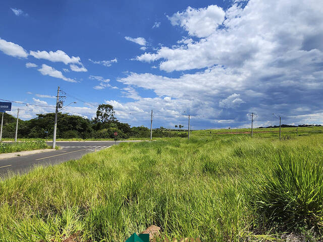 #803 - Terreno para Venda em Monte Alto - SP - 3