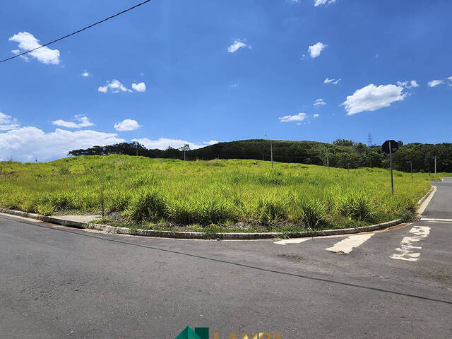 Terreno para Venda em Monte Alto - 5