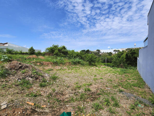 Terreno para Venda em Monte Alto - 4