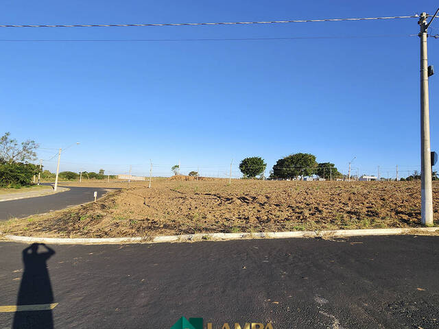 Terreno para Venda em Monte Alto - 4