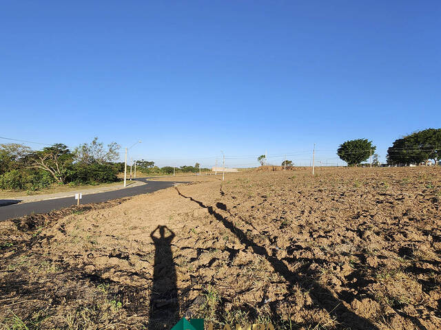 Terreno para Venda em Monte Alto - 5