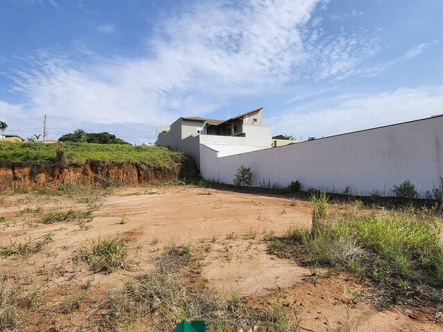 Terreno para Venda em Monte Alto - 4