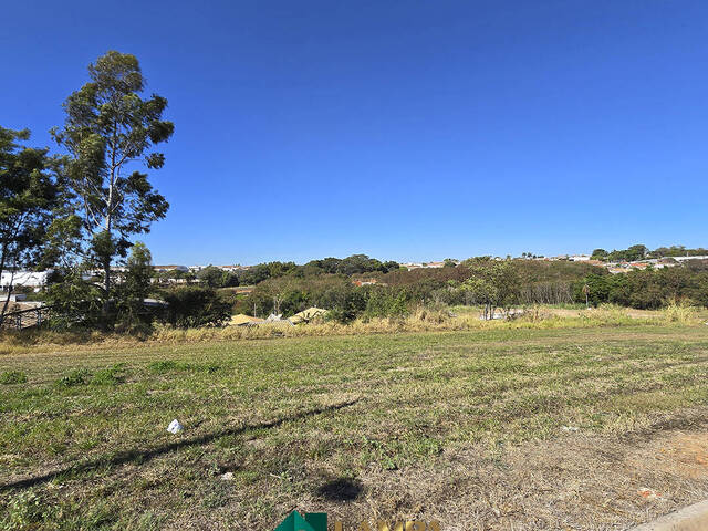 #891 - Terreno para Venda em Monte Alto - SP