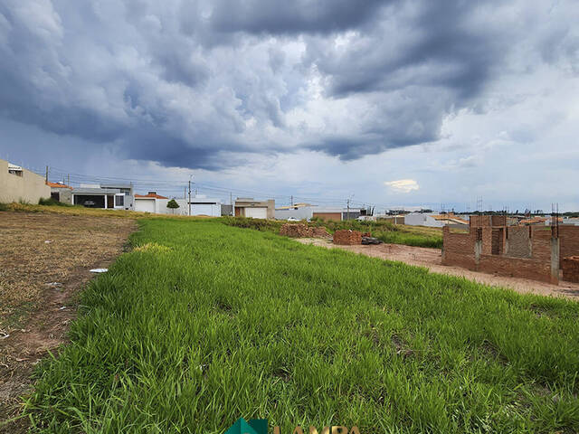 Terreno para Venda em Monte Alto - 4