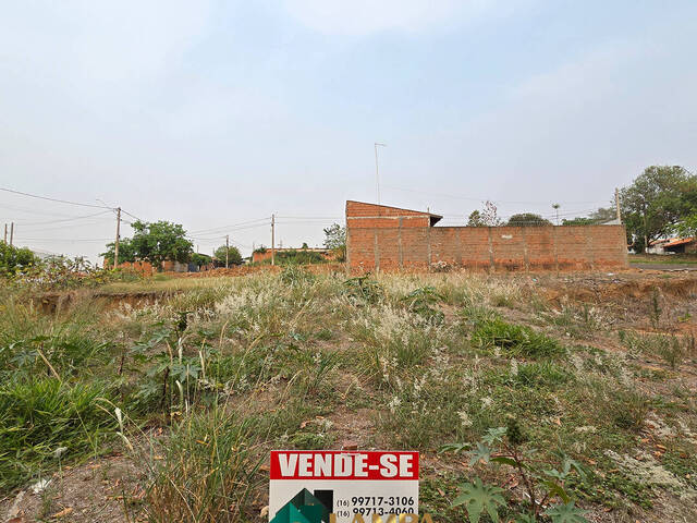 Terreno para Venda em Monte Alto - 4